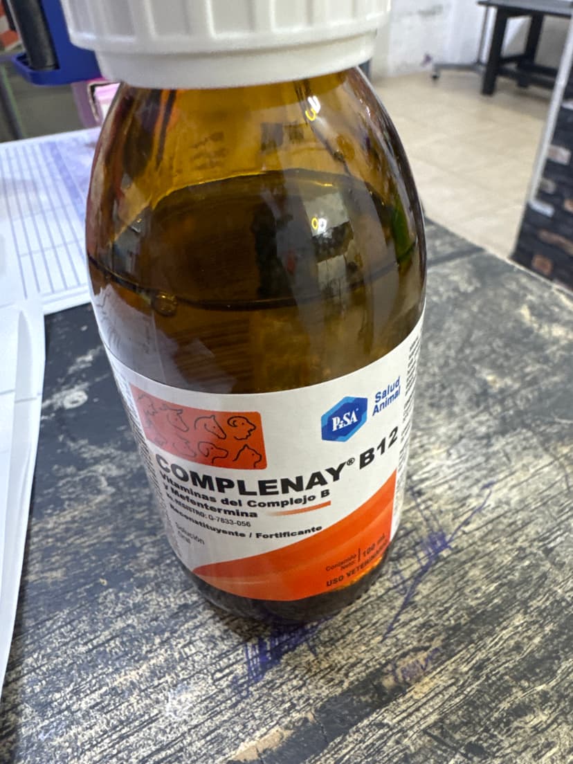 Complenay b12