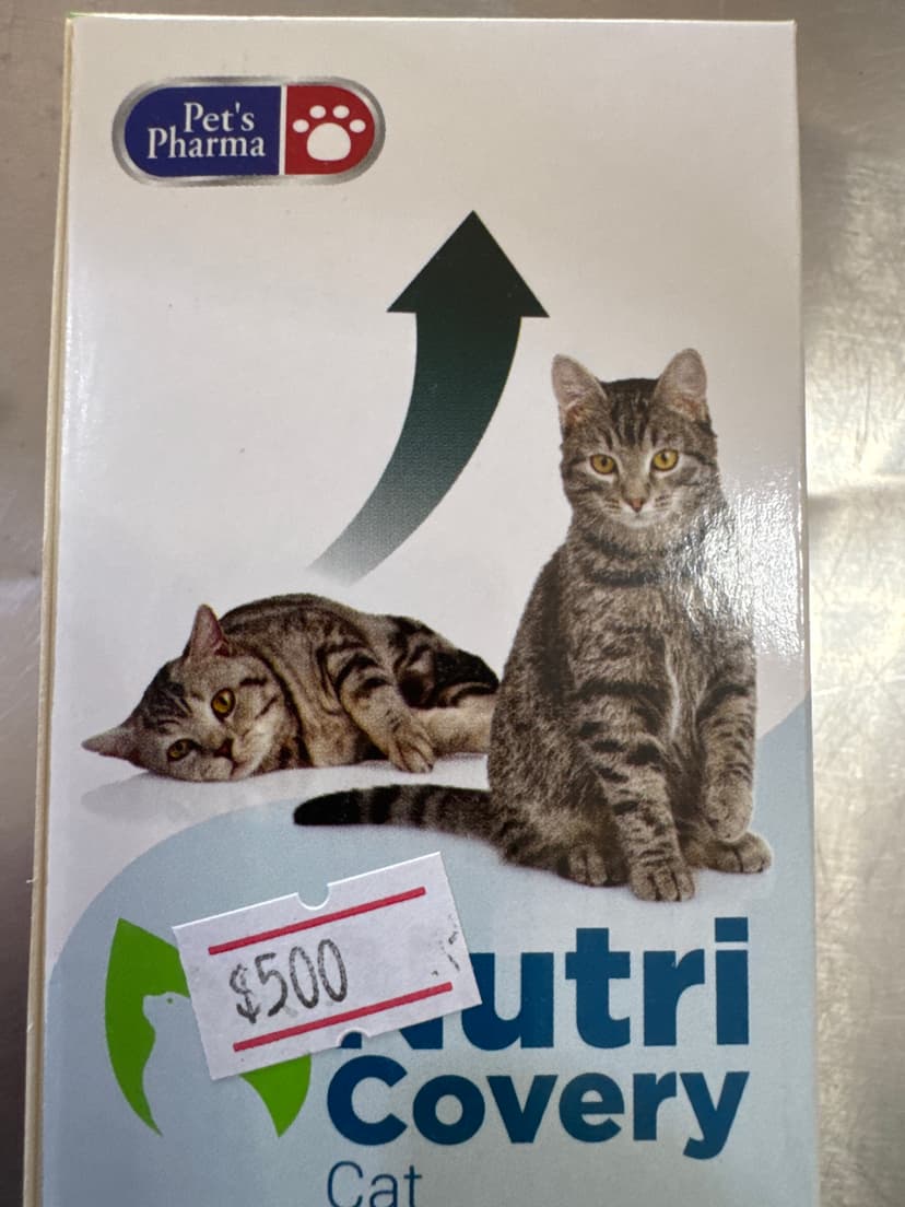 Nutricovery gato